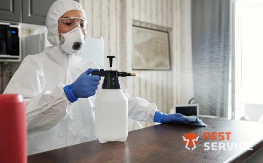 Дезинфекция в Междуреченске