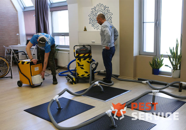 Профессиональная сушка после потопа в Междуреченске от 3000 руб. Быстро устраняем влагу, предотвращаем плесень и повреждения. Современное оборудование и опытные специалисты. Безопасно и эффективно.